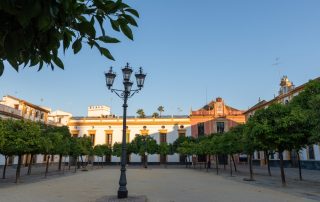 De top 5 musea in Sevilla voor kunstliefhebbers